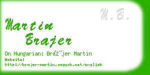 martin brajer business card